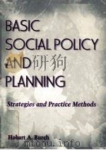 BASIC SOCIAL POLICY AND PLANNING STRATEGIES AND PRACTICE METHODS PDF电子版封面 9780789002181