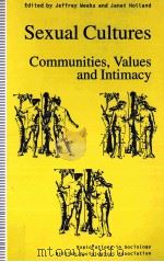 SEXUAL CULTURES COMMUNITIES VALUES AND INTIMACY PDF电子版封面 9780312160845