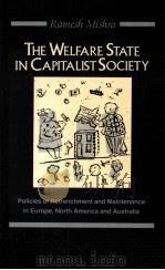 THE WELFARE STATE IN CAPITALIST SOCIETY PDF电子版封面 9780802068293