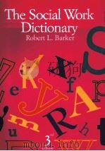 THE SOCIAL WORK DICTIONARY 3 PDF电子版封面 9780871012531