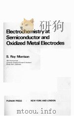 ELECTROCHEMISTRY AT SEMICONDUCTOR AND OXIDIZED METAL ELECTRODES 1980 PDF电子版封面 0306405245