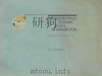 INTERPRETING SEISMIC DATA WORKBOOK A GEOPHYSICAL COLORING BOOK 1984 PDF电子版封面 0878142606