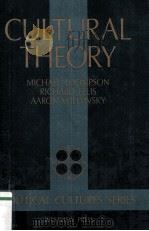 CULTURAL THEORY 1990 PDF电子版封面 0813378648