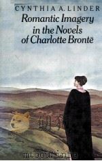 Romantic Imagery in the Novels of Charlotte Bronte 1978 PDF电子版封面 0333236718