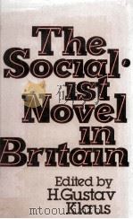 The Socialist Novel in Britain: Towards the Recovery of a Tradition（1982 PDF版）