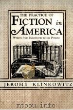 The Practice of Fiction in America: Writers from Hawthorne to the Present 1980 PDF电子版封面 0813814200