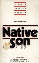 New Essays on Native Son 1990 PDF电子版封面 0521348226