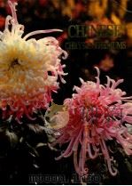CHINESE CHRYSANTHEMUMS（1981 PDF版）