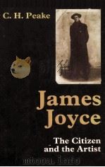 JAMES JOYCE THE CITIZEN AND THE ARTIST 1977 PDF电子版封面 0713162813