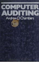 Computer Auditing（1981 PDF版）