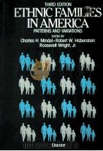 ETHNIC FAMILIES IN AMERICA PATTERNS AND VARIATIONS THIRD EDITION   1988  PDF电子版封面  0444013199   