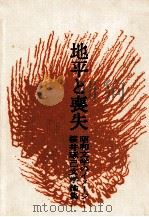 地平と喪失:昭和文学のイメージ 桜井琢己文学論集 1973.08 PDF电子版封面 桜井琢巳