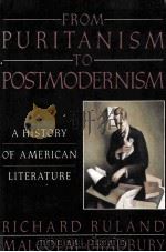 FROM PURITANISM TO POSTMODERNISM A HISTORY OF AMERICAN LITERATURE（1991 PDF版）