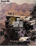 AN AMERICAN GRAB BAG VIEWS OF THE AMERICAN EXPERIENCE IN PROSE AND POETRY 1984 PDF电子版封面