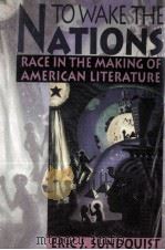 TO WAKE THE NATIONS RACE IN THE MAKING OF AMERICAN LITERATURE 1993 PDF电子版封面 067489331X