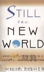 STILL THE NEW WORLD AMERICAN LITERATURE IN A CULTURE OF CREATIVE DESTRUCTION 1999 PDF电子版封面 0674004094
