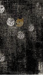 寺田寅彦全集 13 1960-1962 PDF电子版封面 寺田寅彦