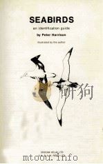 SEABIRDS AN IDENTIFICATION GUIDE（1983 PDF版）