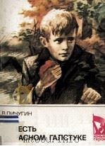 Повесть о красном галстуке 1985 PDF电子版封面