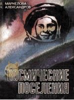 Космические поселения 1981 PDF电子版封面