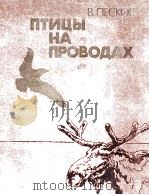Птицы на проводах 1982 PDF电子版封面
