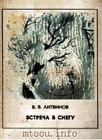 Встреча в снегу : рассказы. Стихотворения 1983 PDF电子版封面