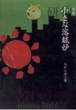 小さな溶鉱炉 1995.06 PDF电子版封面 大沢久美子