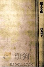 燃える風 1980.04 PDF电子版封面 津島佑子