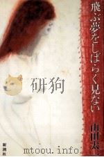 飛ぶ夢をしばらく見ない   1985.11  PDF电子版封面    山田太一 