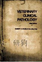 VETERINARY CLINICAL PATHOLOGY THIRD EDITION PDF电子版封面