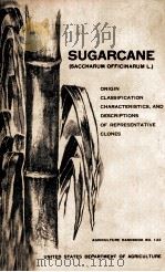 SUGARCANE SACCHARUM OFFICINARUML PDF电子版封面