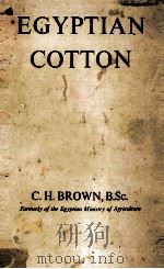 EGYPTIAN COTTON（ PDF版）