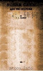 SUGAR CANE AND ITS CULTURE（ PDF版）