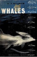 WHALES 1962 PDF电子版封面