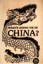 WHAT‘S GOING ON IN CHINA?（ PDF版）