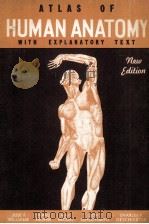 ATLAS OF HUMAN ANATOMY（1942 PDF版）