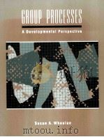 GROUP PROCESSES A DEVELOPMENTAL PERSPECTIVE（ PDF版）