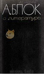 О литературе 1980 PDF电子版封面