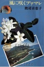 風に咲くプァマレ 1976 PDF电子版封面 渡辺喜恵子