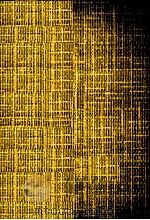 パパは生きている 1977.12 PDF电子版封面 安井信朗