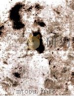 ムツゴロウの動物巷談 1973 PDF电子版封面 畑正憲