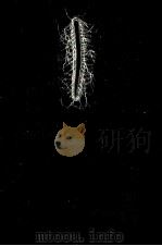 暗黒への出発 1971.09 PDF电子版封面 高橋和巳