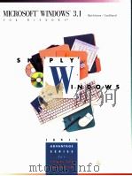 SIMPLY WINDOWS TM MICROSOFT R WINDOWS R 3.1 FOR WINDOWS R（1996 PDF版）