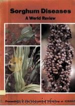 SORGHUM DISEASES A WORLD REVIEW（ PDF版）