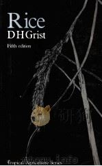 RICE 5TH EDITION（ PDF版）