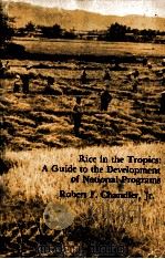 RICE IN THE TROPICS:A GUIDE TO THE DEVELOPMENT OF NATIONAL PROGRAMS（ PDF版）