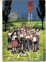 魔球 1981 PDF电子版封面
