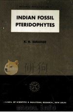 INDIAN FOSSIL PTERIDOPHYTES（ PDF版）