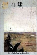 妹 1980.02 PDF电子版封面 小中沢小夜子
