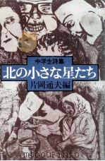 北の小さな星たち 1977.08 PDF电子版封面 片岡通夫
